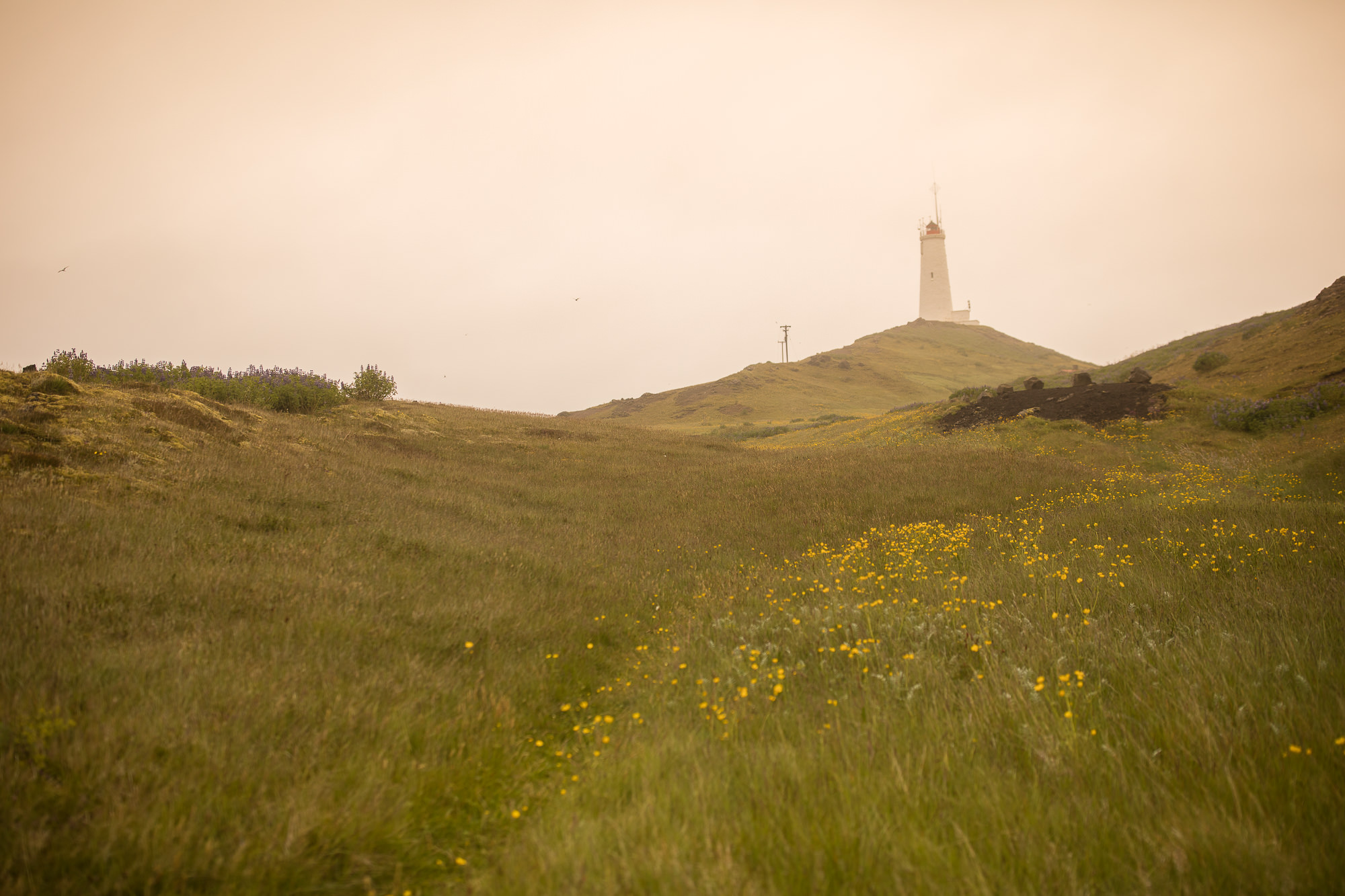 Export x3 5D4 8588 Gaby & German @ Reykanesviti